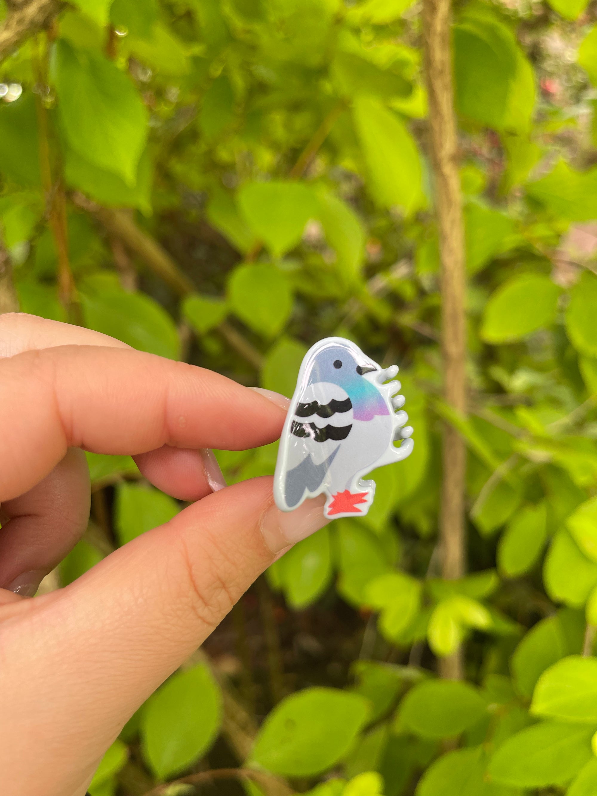 Pigeon Mini Claw