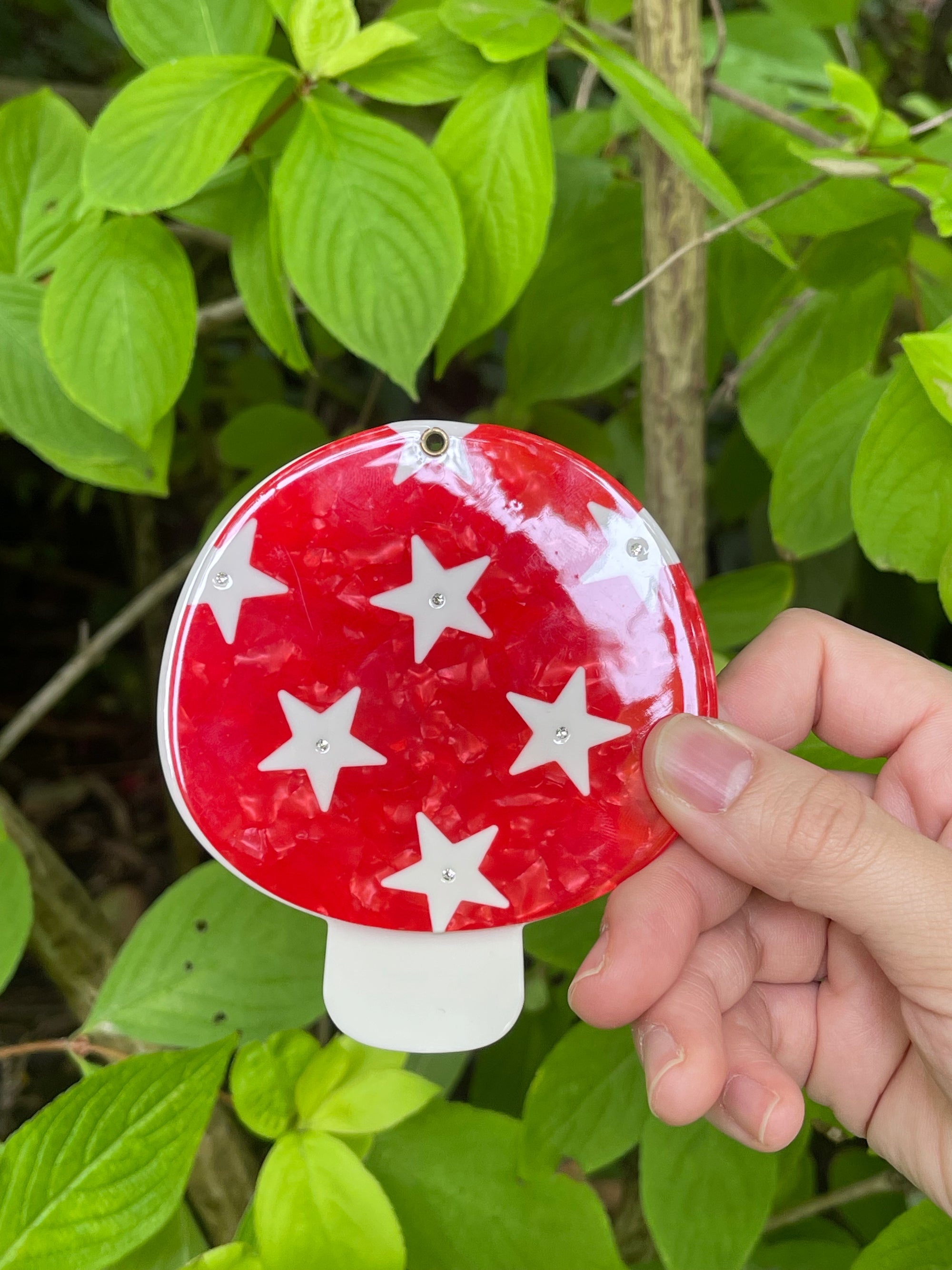 Mushroom Pocket Mirror