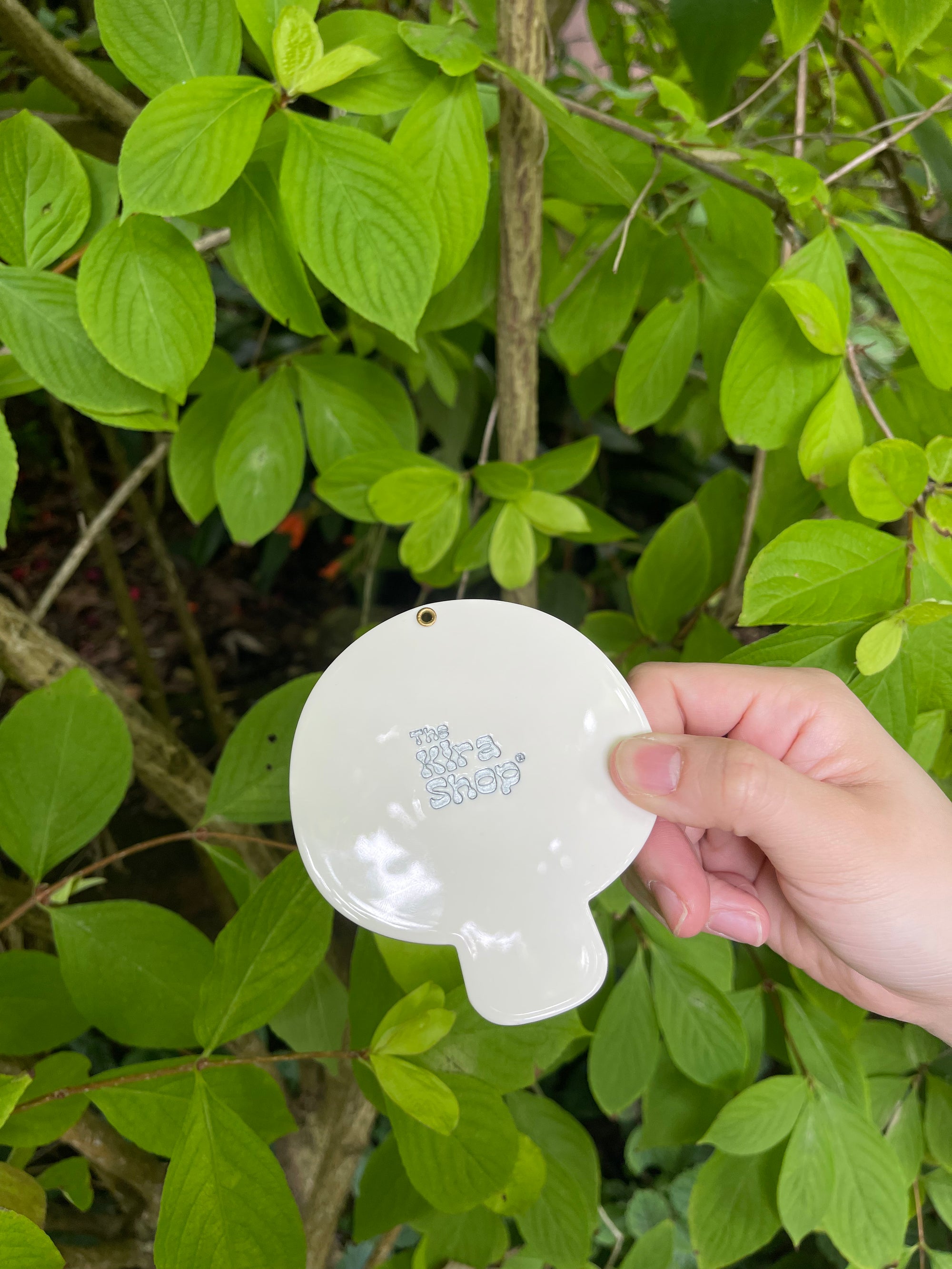 Mushroom Pocket Mirror