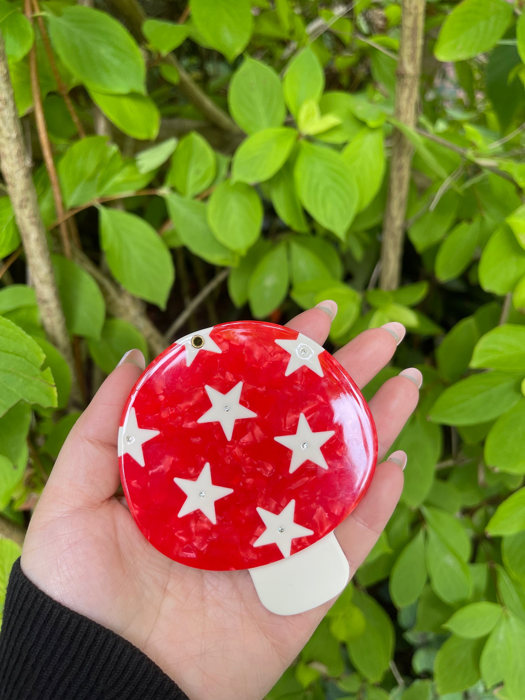 Mushroom Pocket Mirror