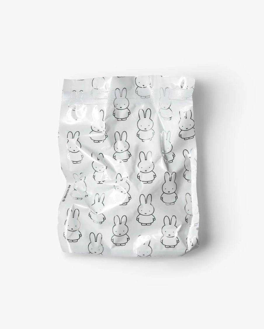 Miffy Goes Pastel Jelly Keychain Blind Box