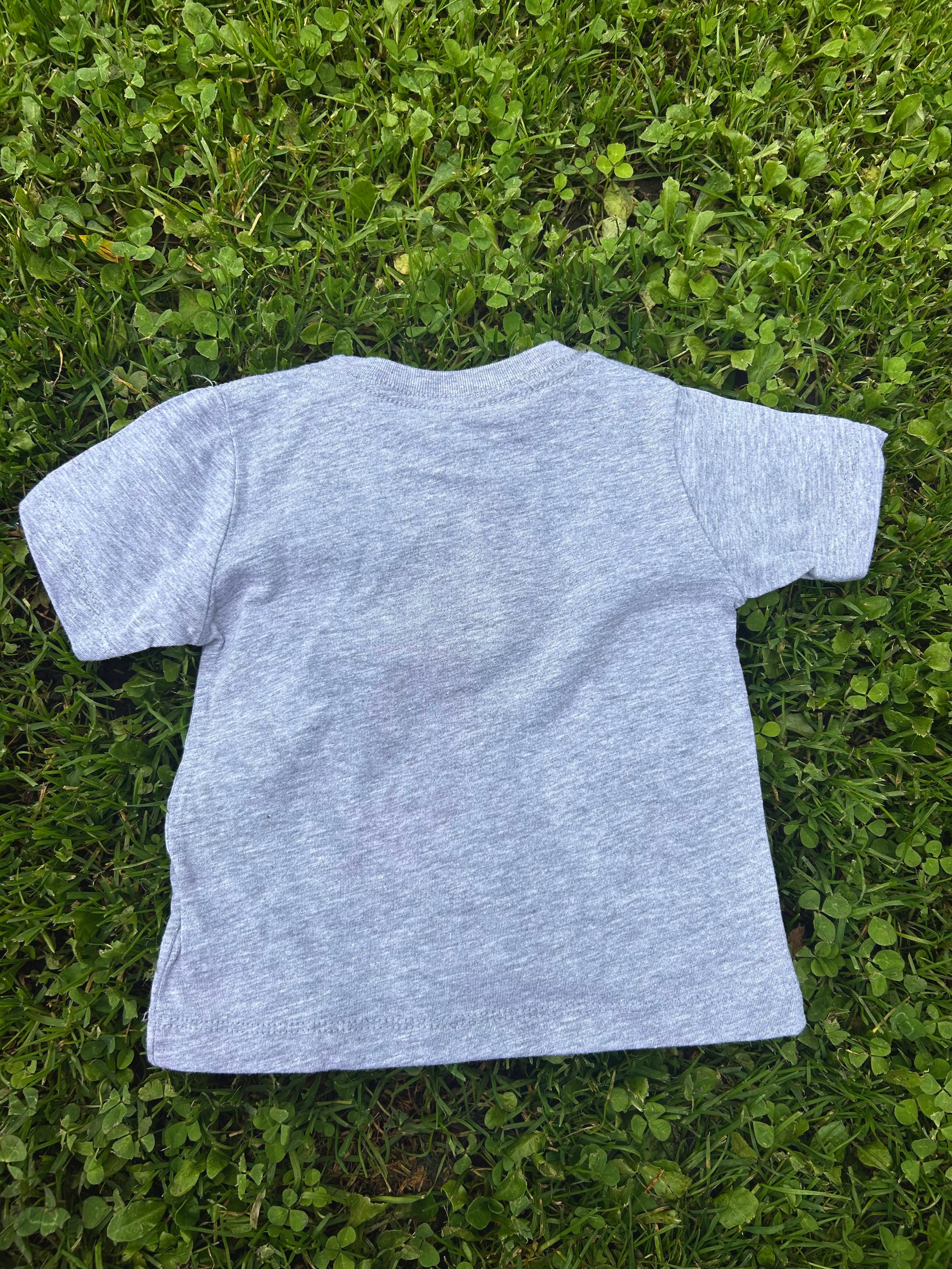 Miffy SF Seal Kids Tee, Heather Grey