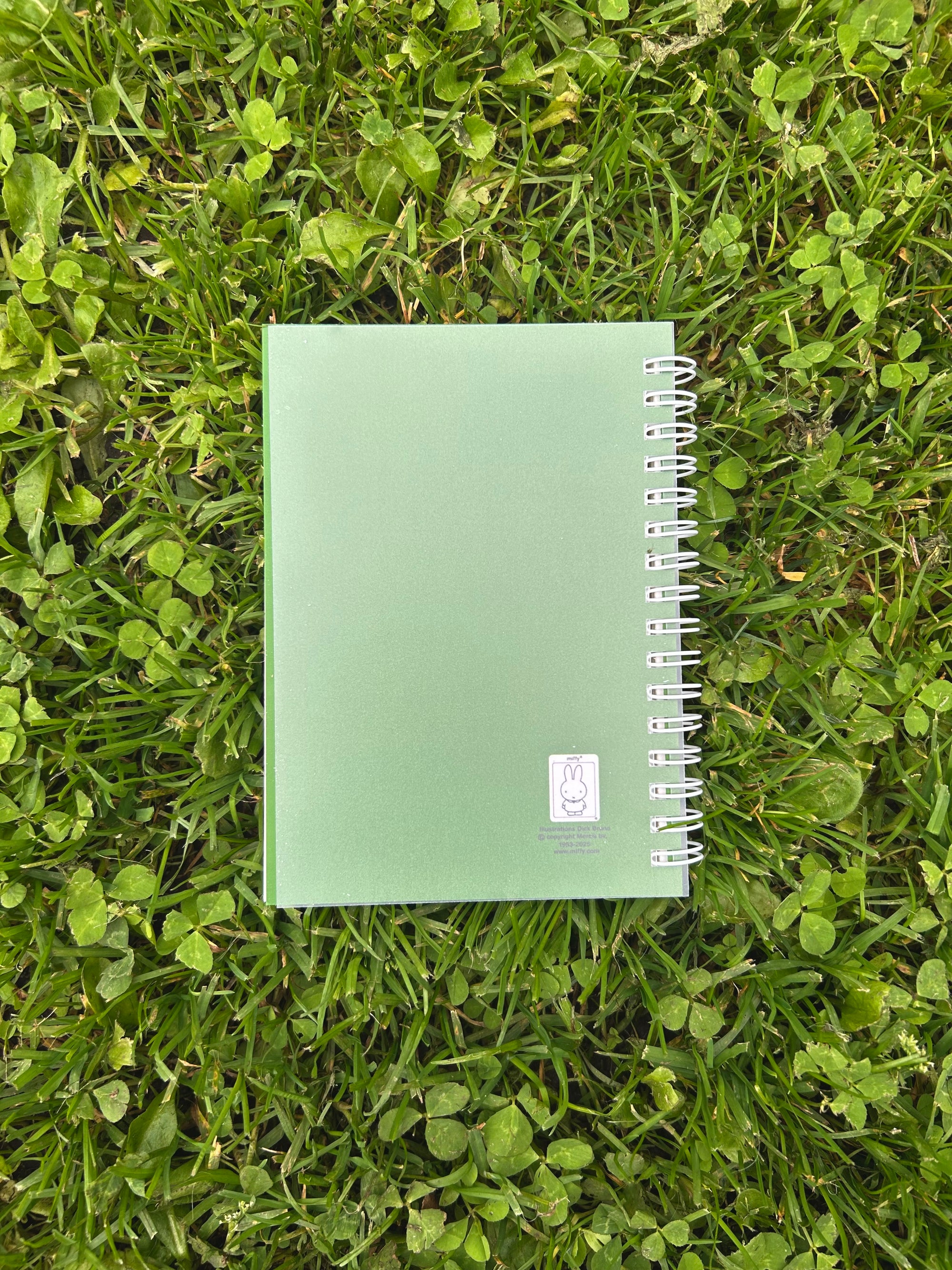 Boris SF Golden Gate Park Pocket Notebook