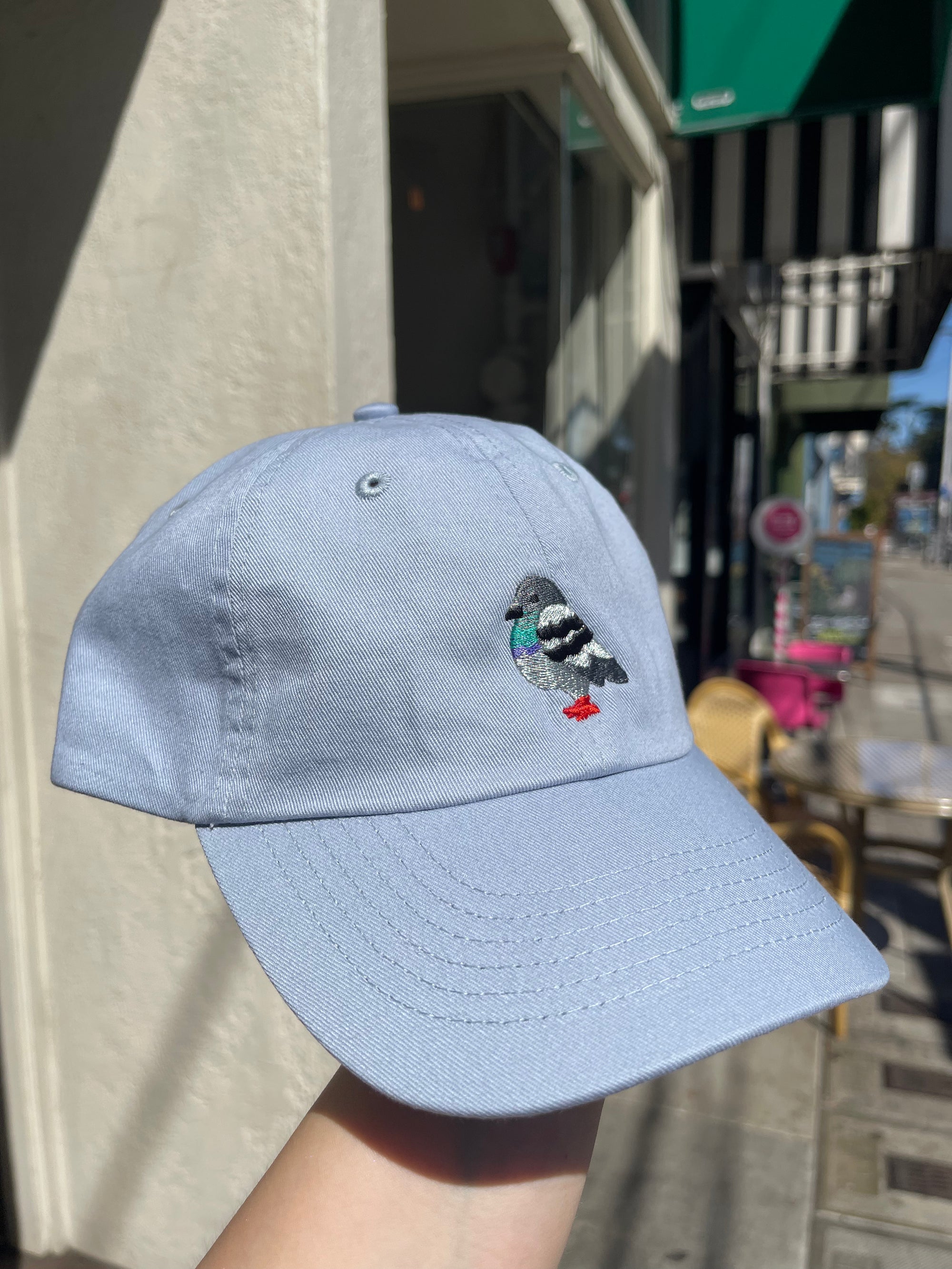 Pigeon Dad Hat, Light Blue