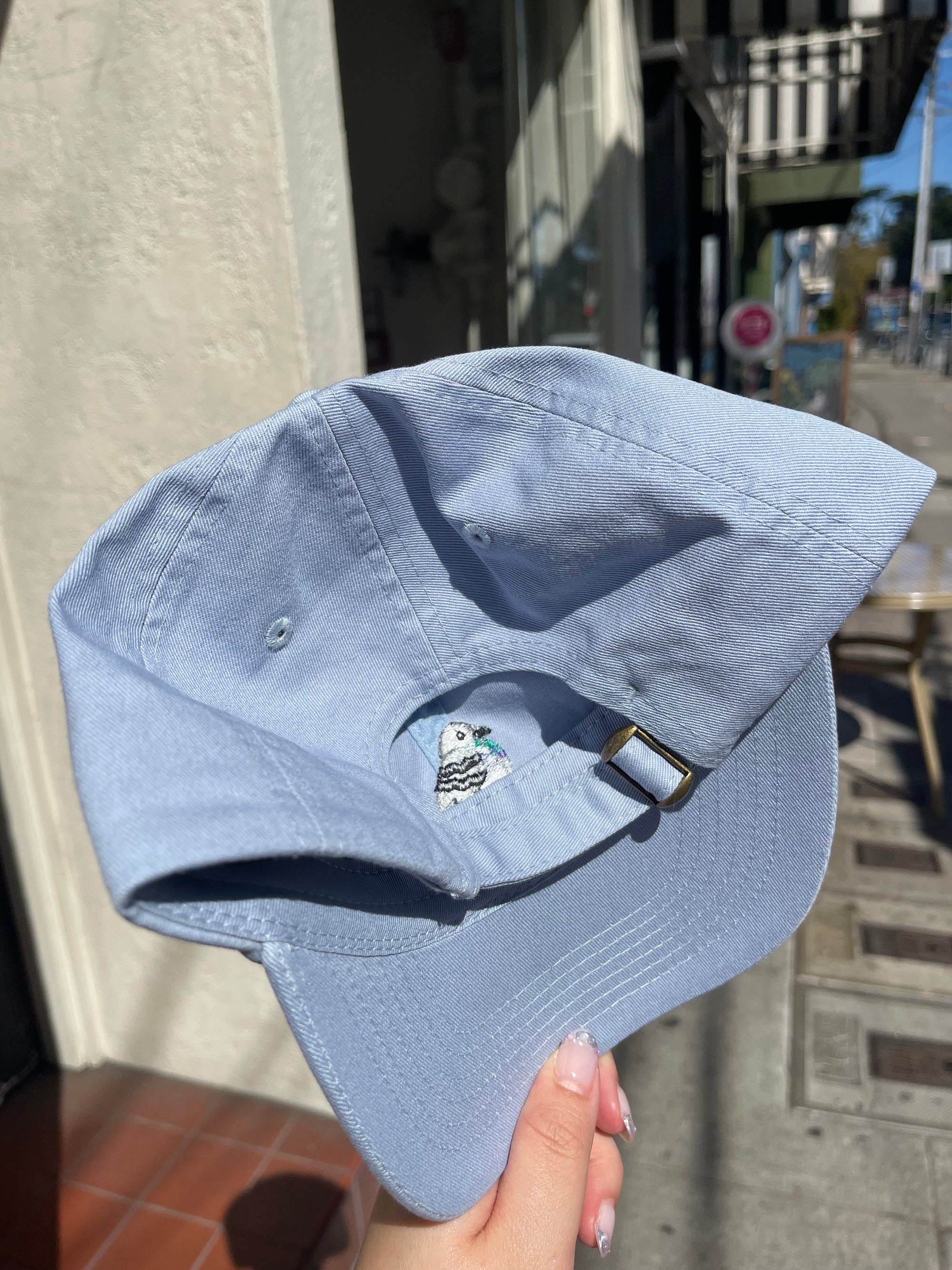 Pigeon Dad Hat, Light Blue