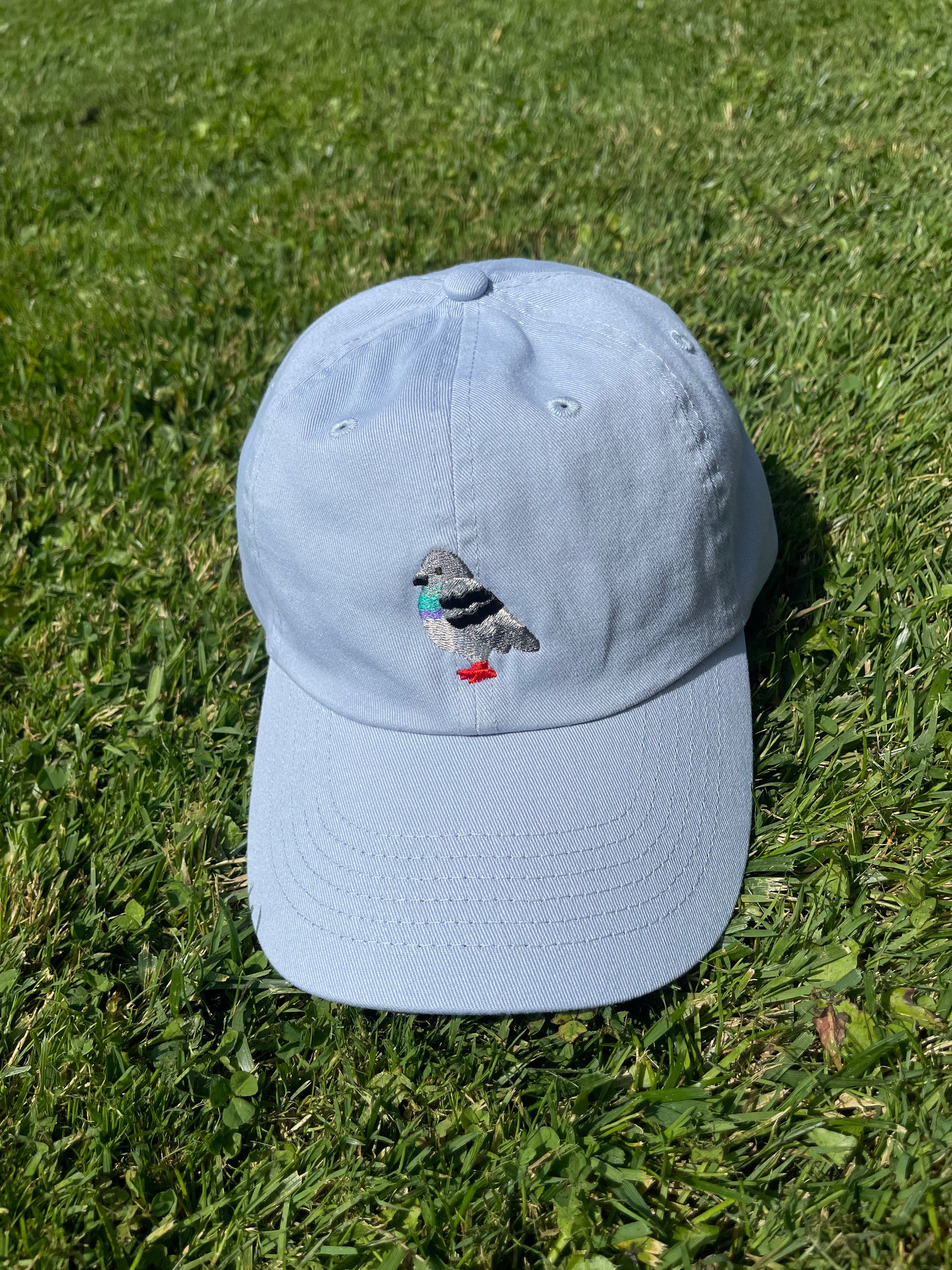 Pigeon Dad Hat, Light Blue