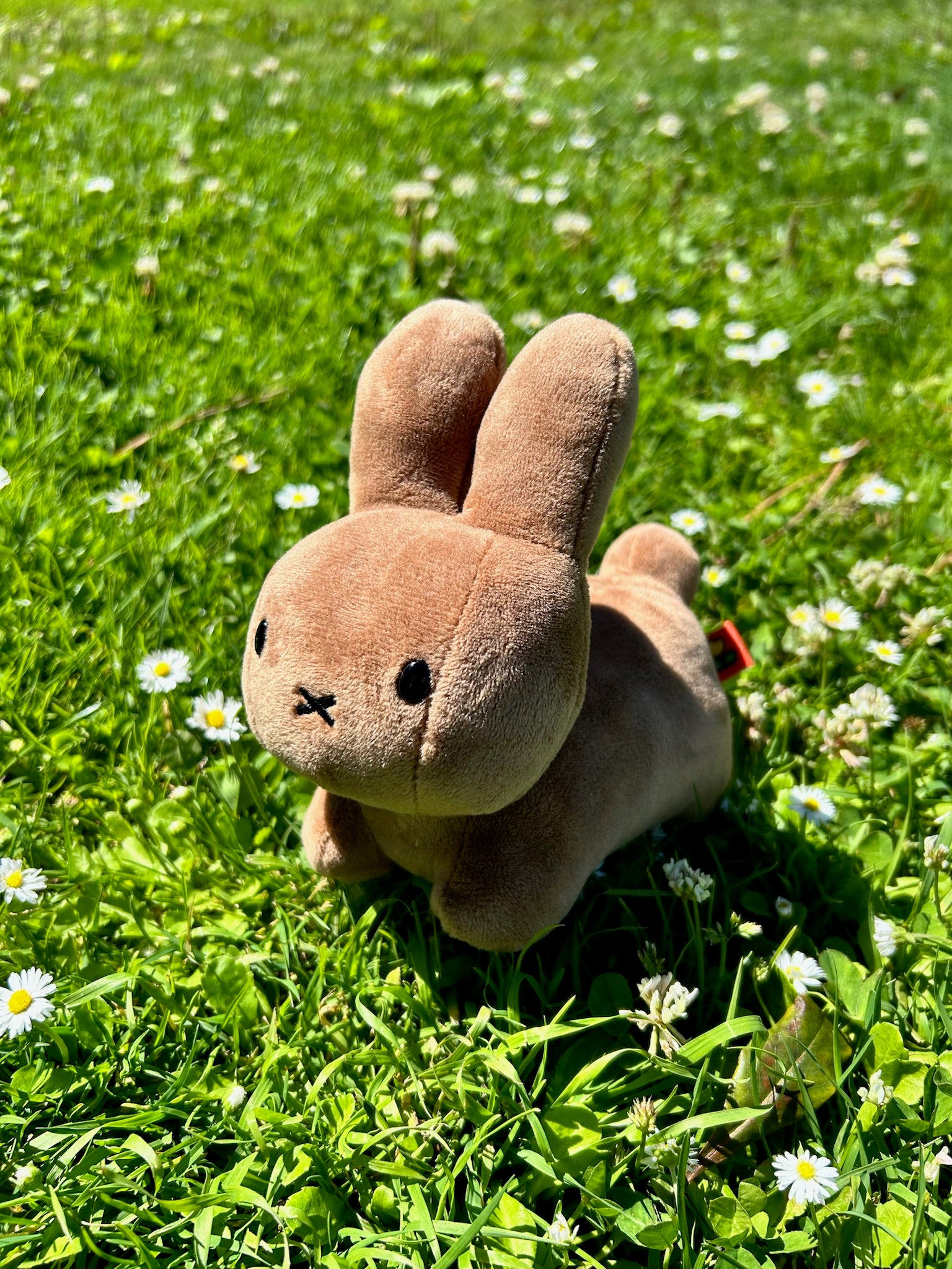 Hopping Bunny Plush, Brown