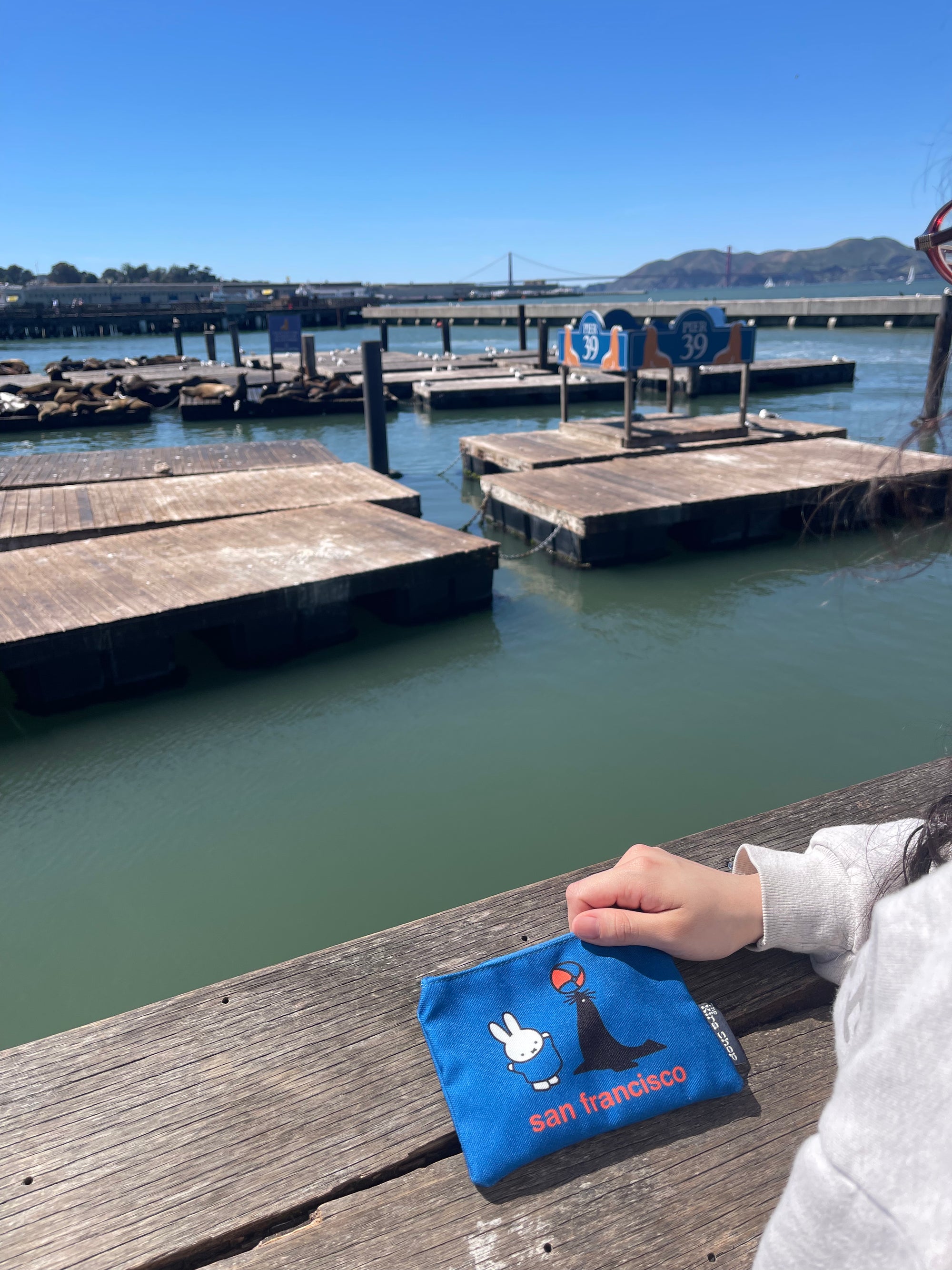 Miffy SF Zip Pouch, Seal