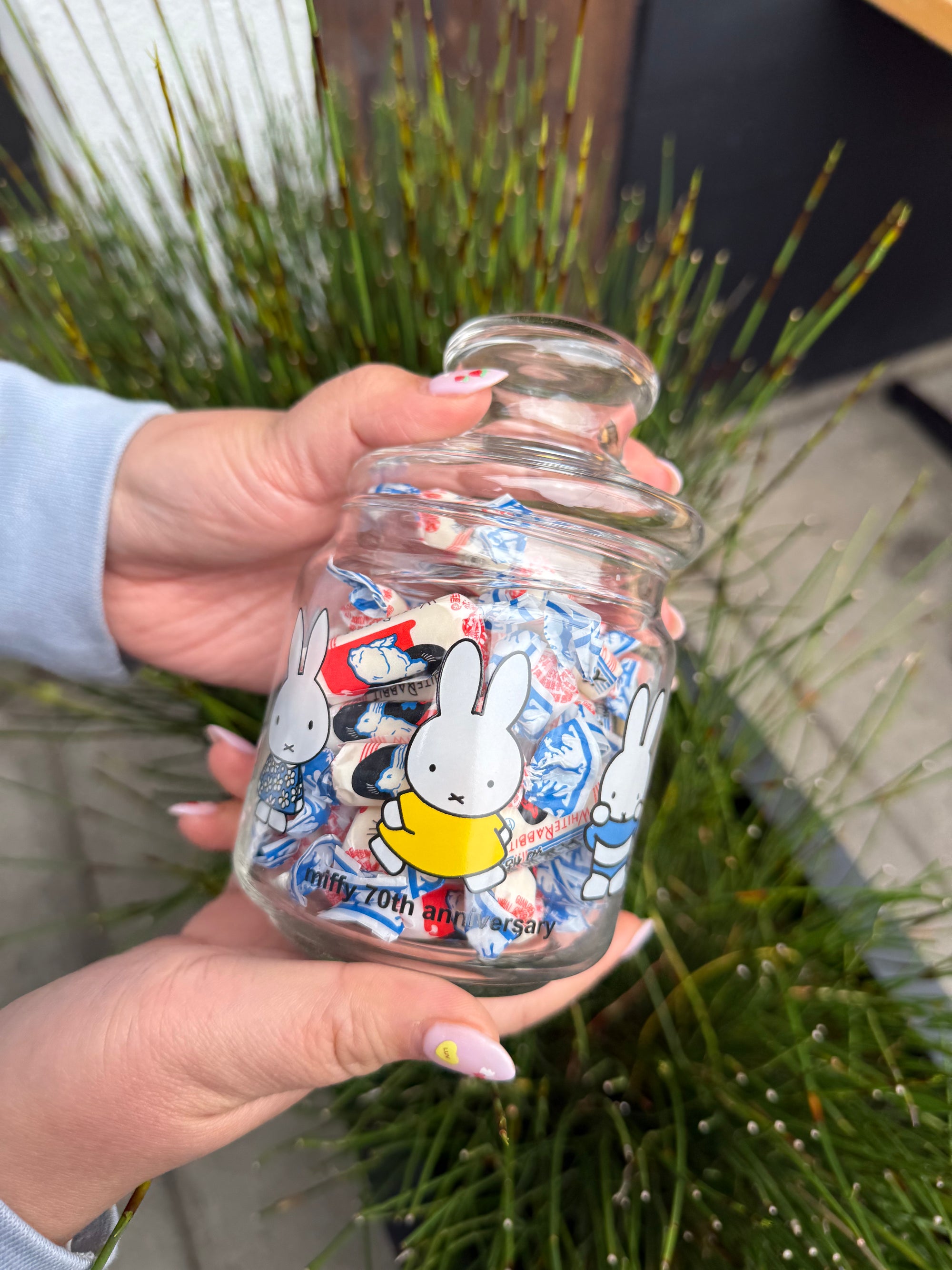 Miffy Candy Glass Jar with Lid, 70th Anniversary