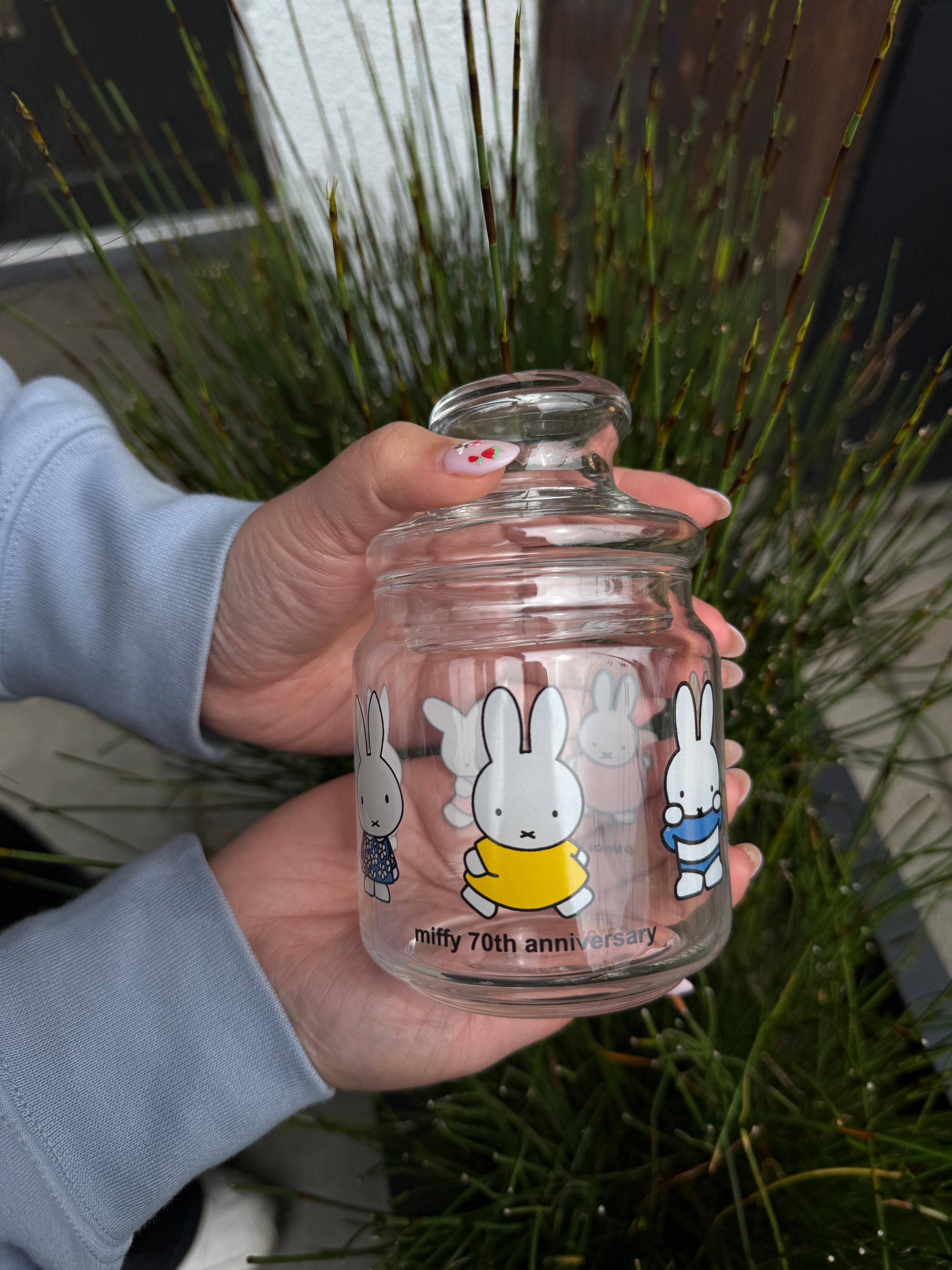Miffy Candy Glass Jar with Lid, 70th Anniversary