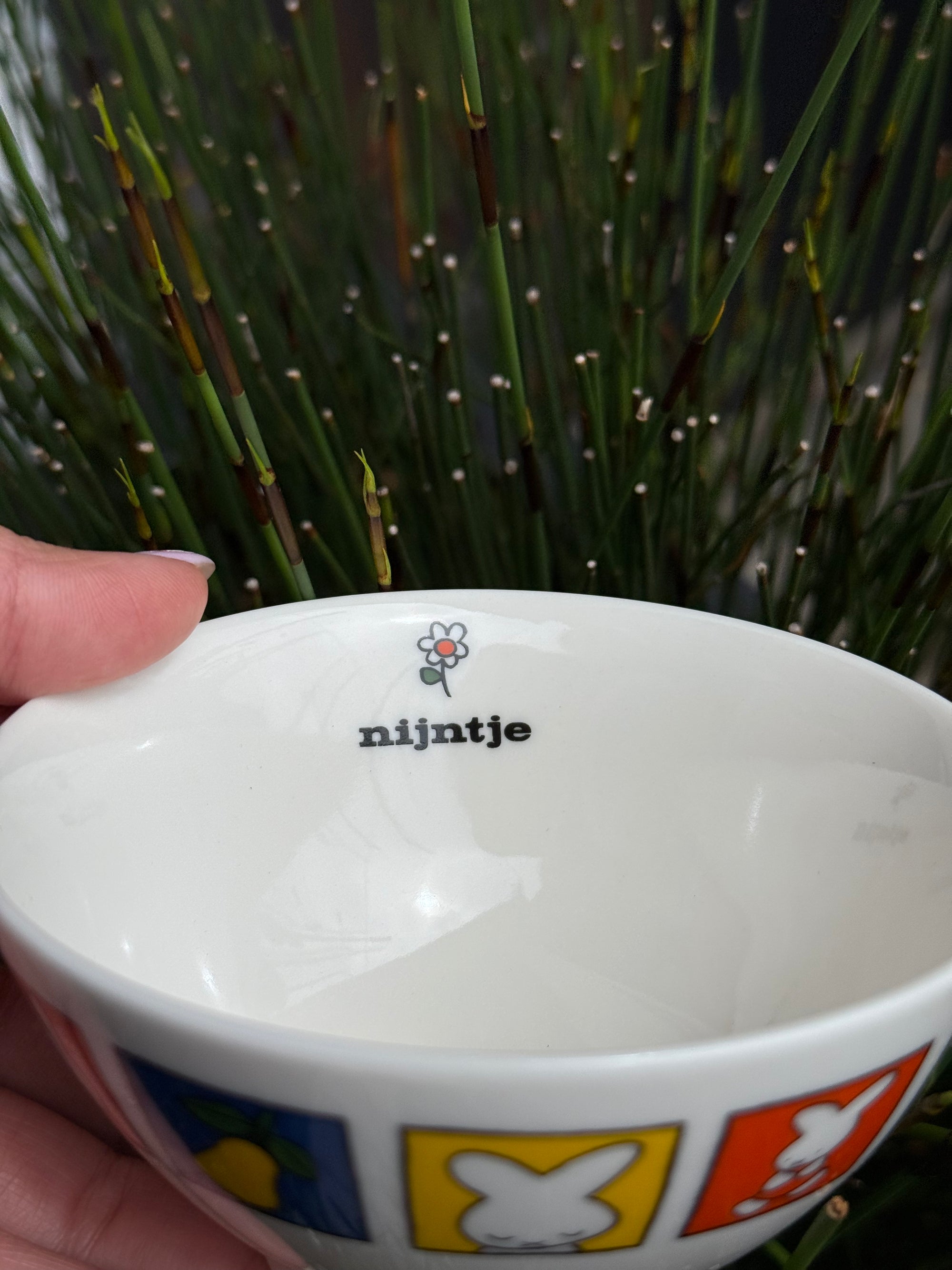 Miffy Rice Bowl, 70th Year Anniversary