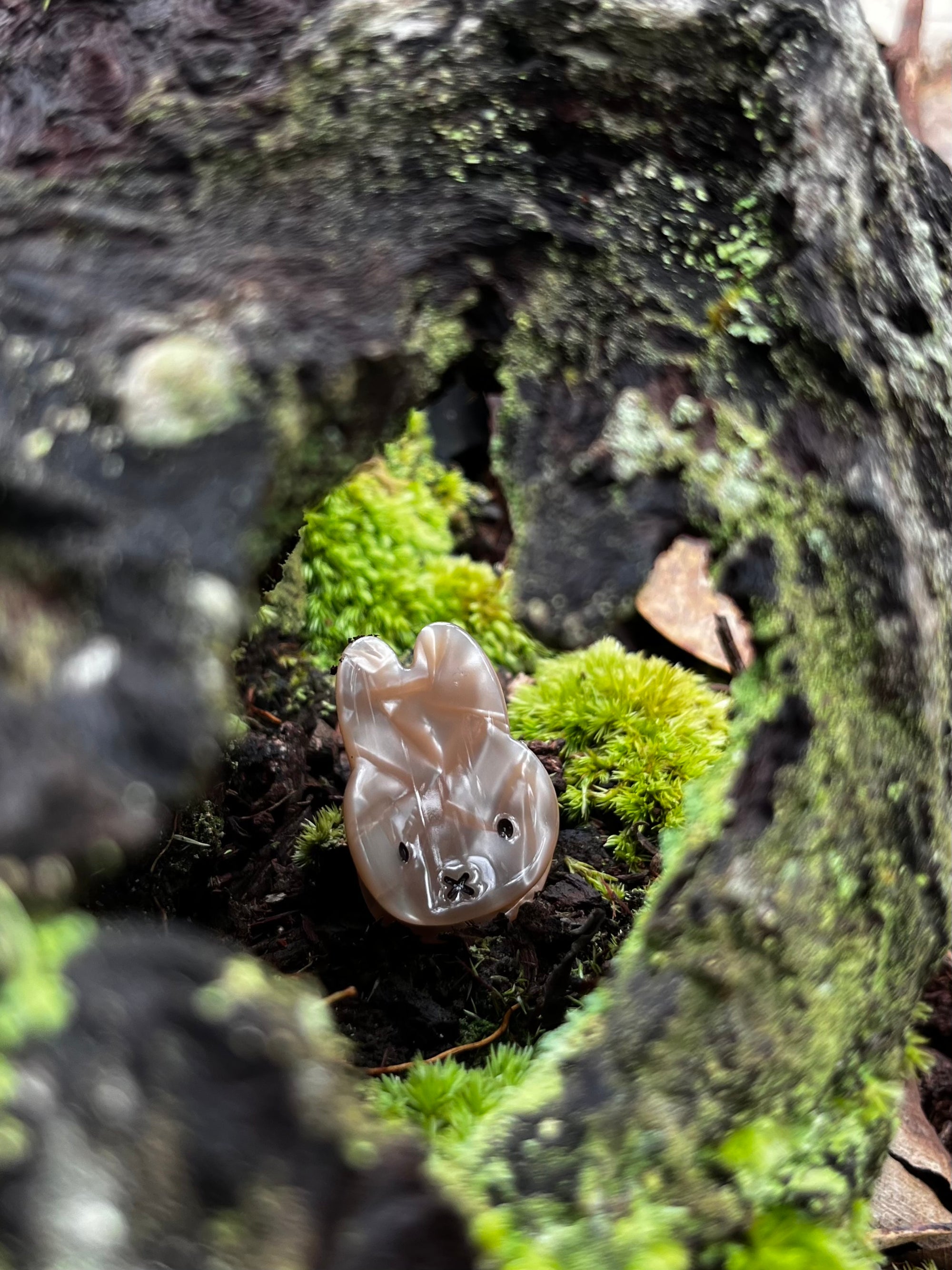 Miffy Pearlized Hair Claw, Mini, Brown