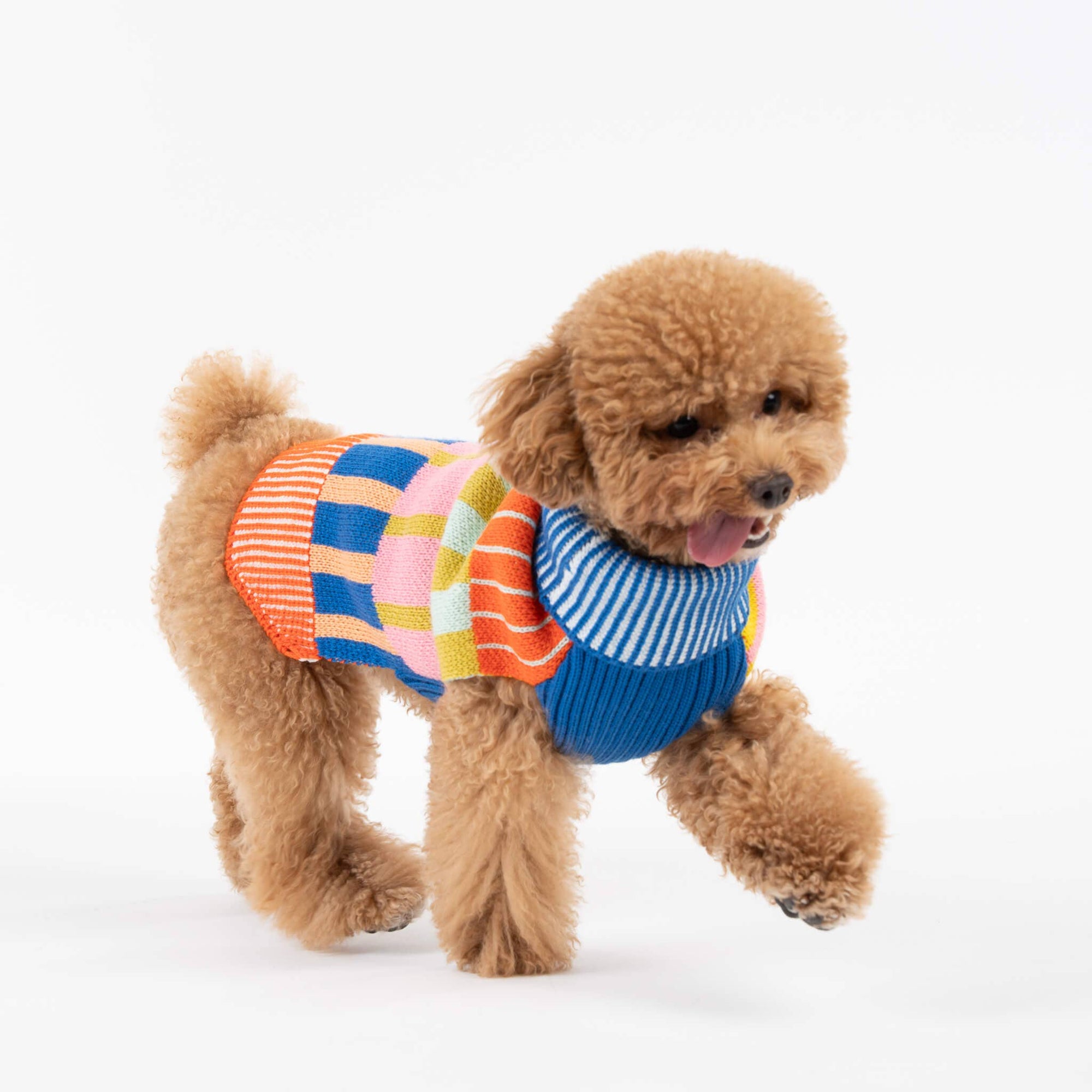 Patchwork Stripe Dog Sweater, Rainbow / L