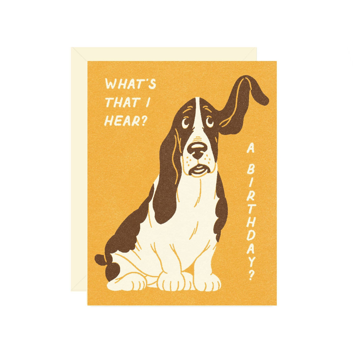 Basset Hound Dog Birthday Card