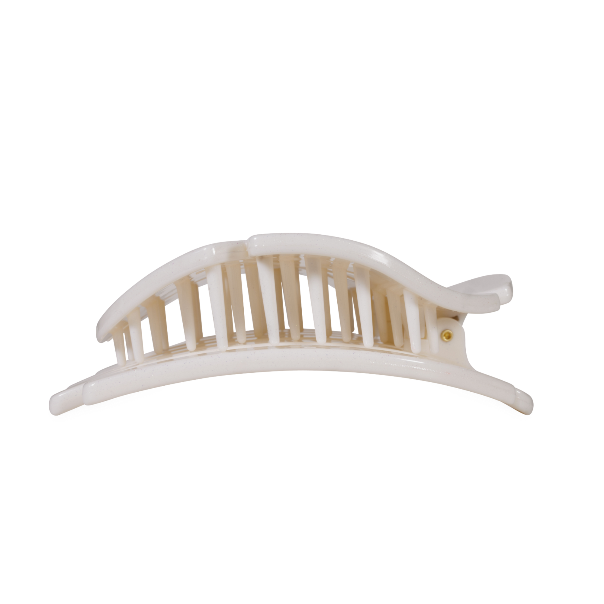 Sand Dollar, Large, Flat Shape Hair Clip