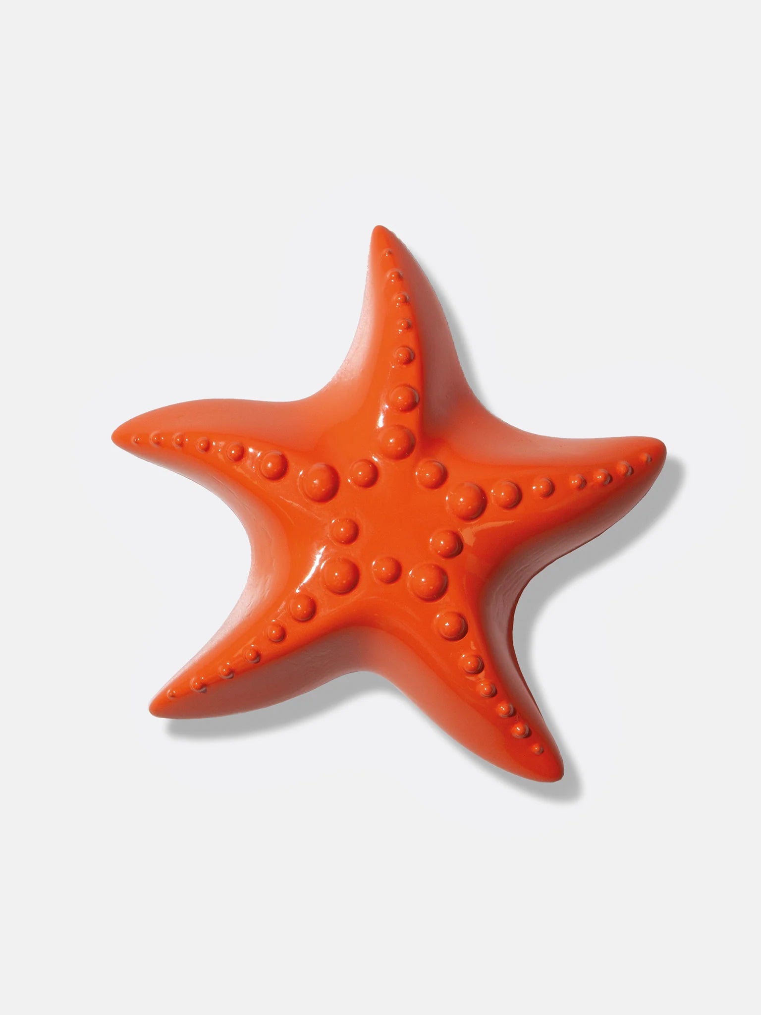 Bottle Opener, Starfish