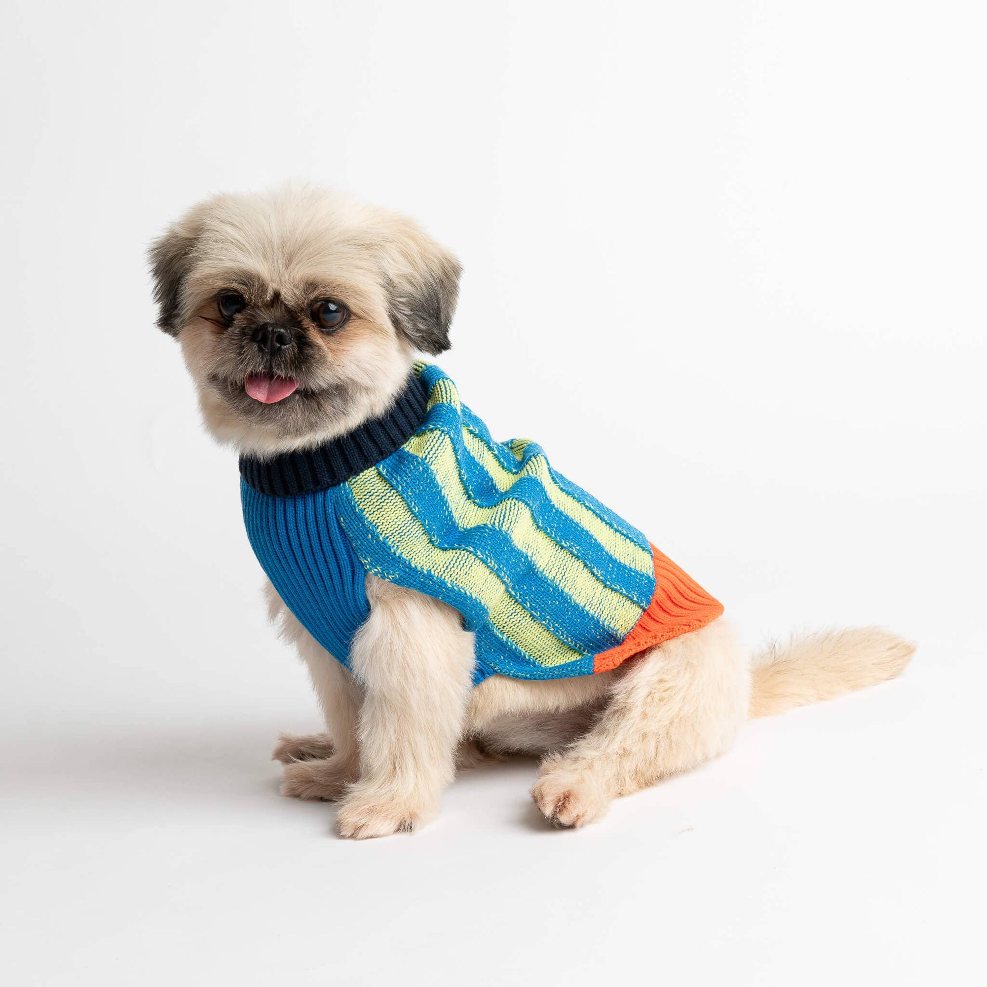 Striped Dog Sweater, Lime Cobalt / M