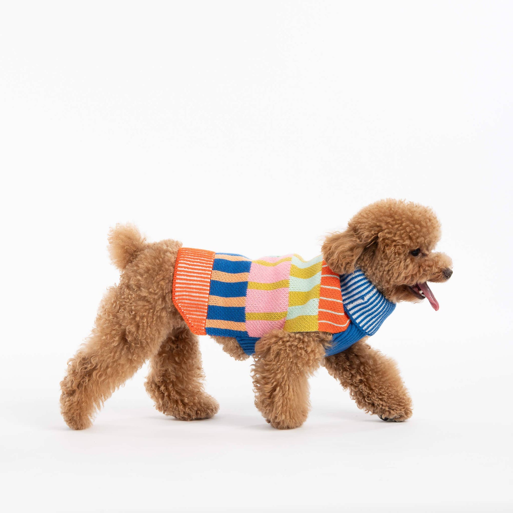 Patchwork Stripe Dog Sweater, Rainbow / L