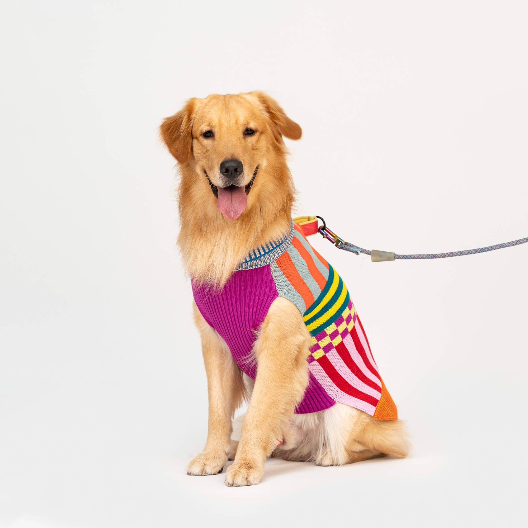 Pattern Patch Dog Sweater, Rainbow / M