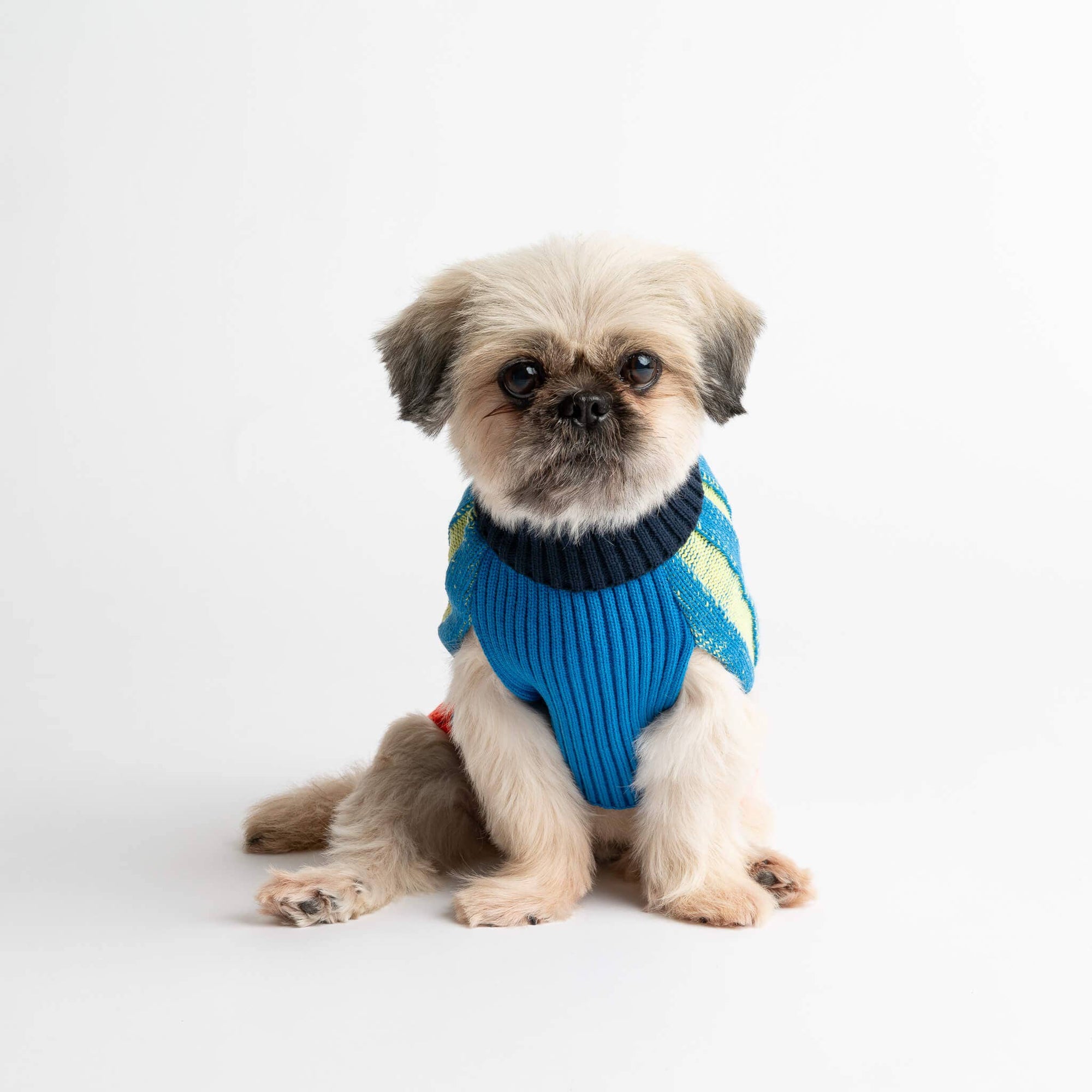 Striped Dog Sweater, Lime Cobalt / M