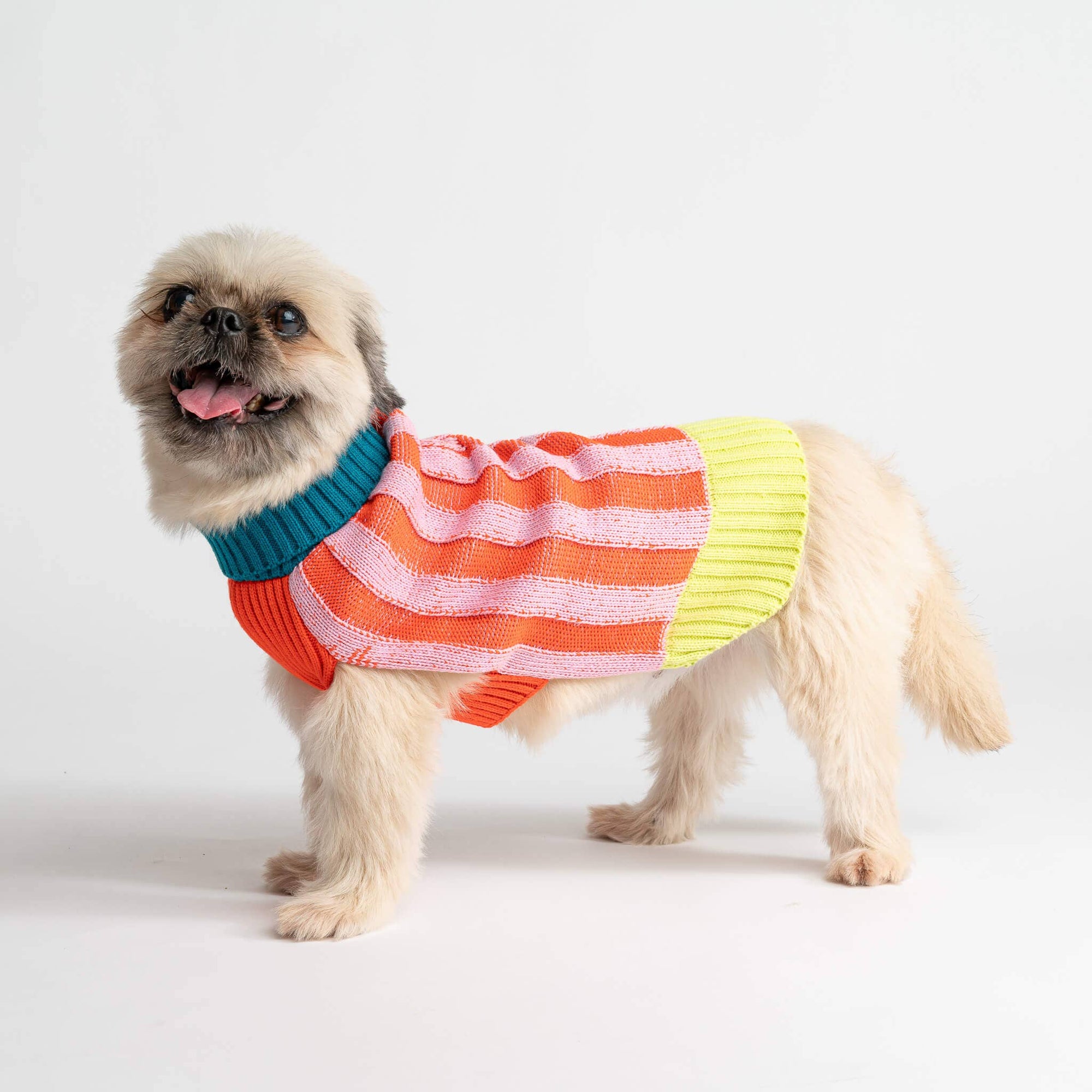 Striped Dog Sweater, Lime Cobalt / M