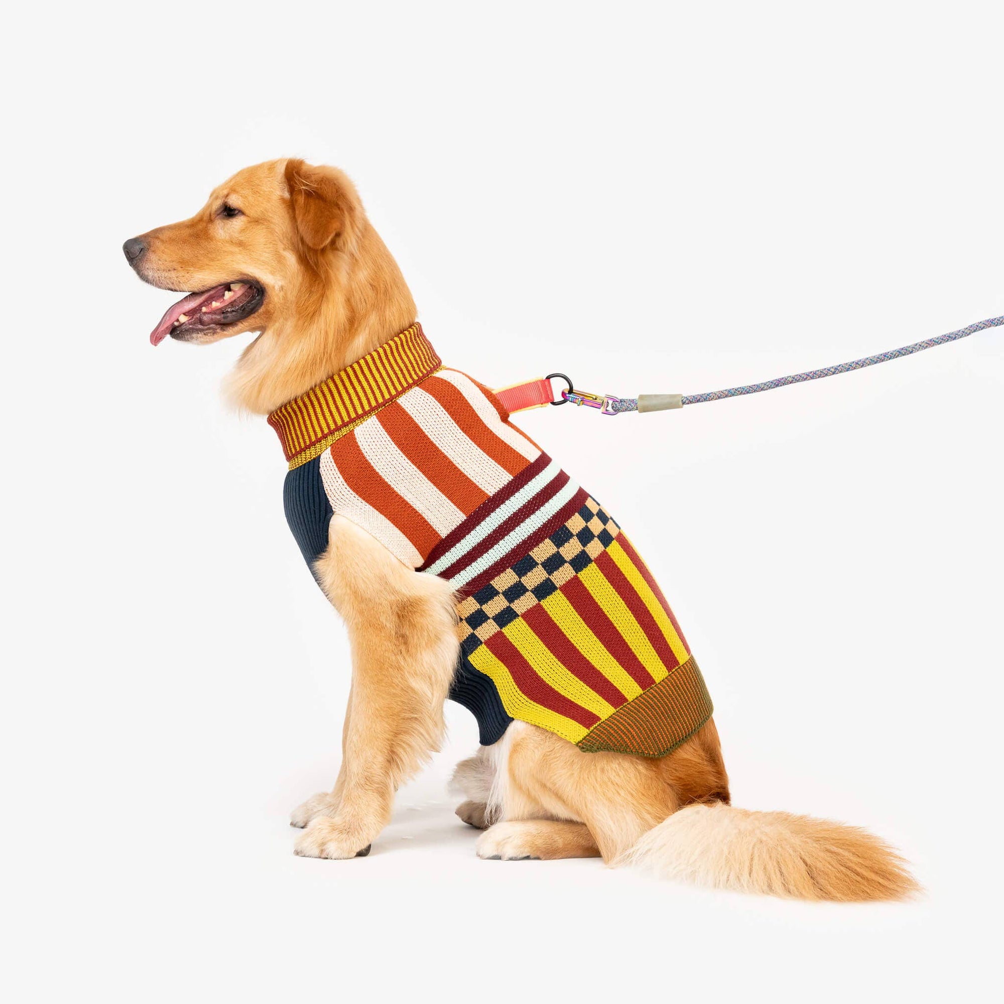 Pattern Patch Dog Sweater, Rainbow / M