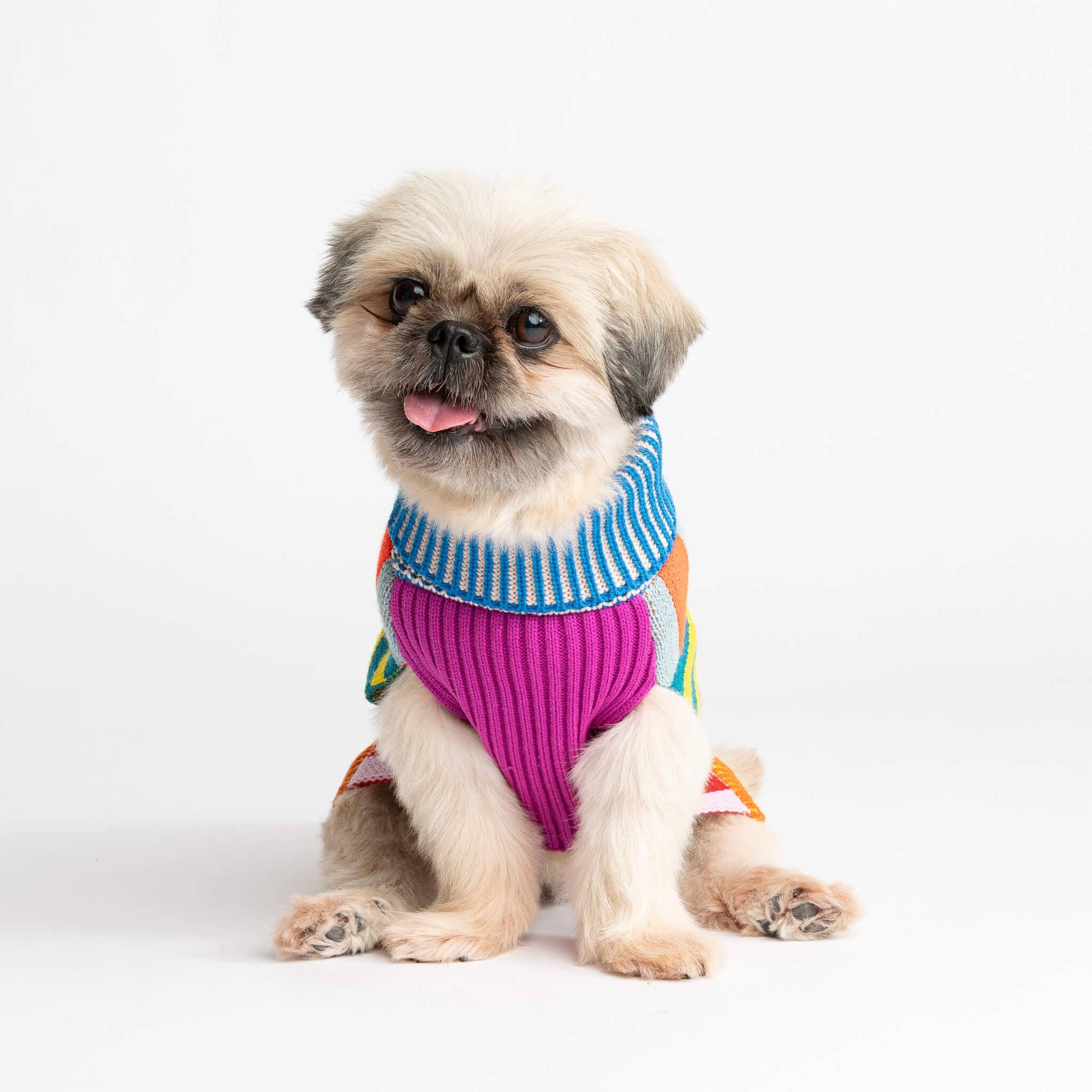 Pattern Patch Dog Sweater, Rainbow / M