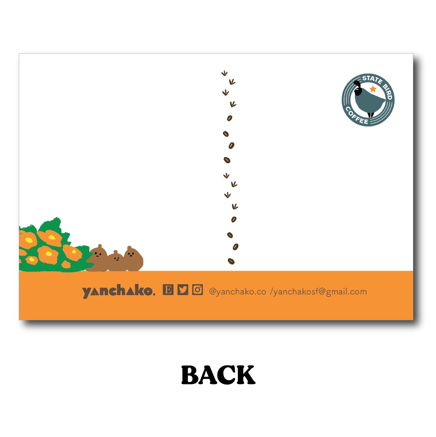 San Francisco Bear Postcard