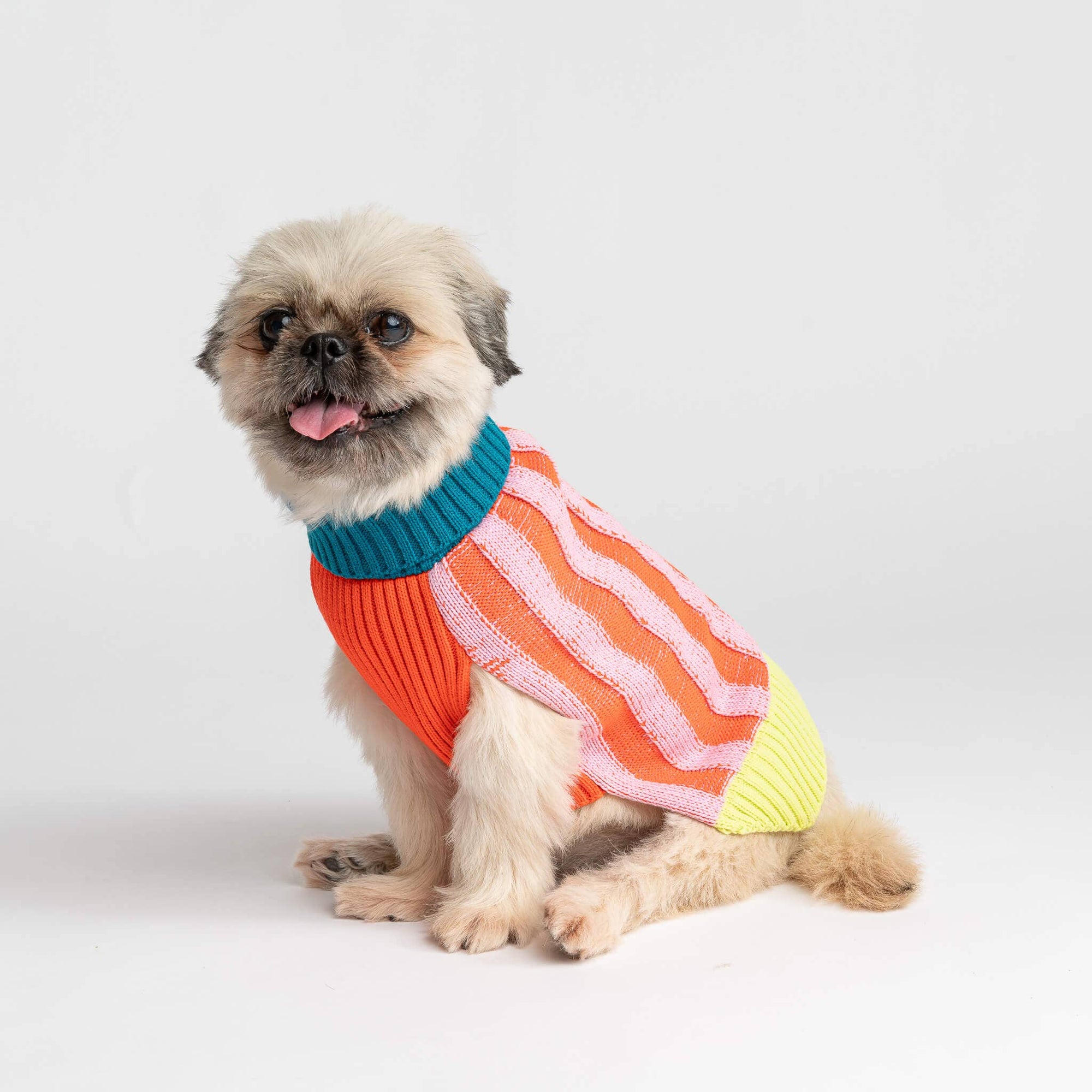 Striped Dog Sweater, Lime Cobalt / M