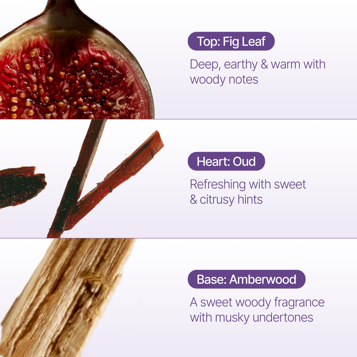 Fig Leaf Incense Drops, 26 Cones