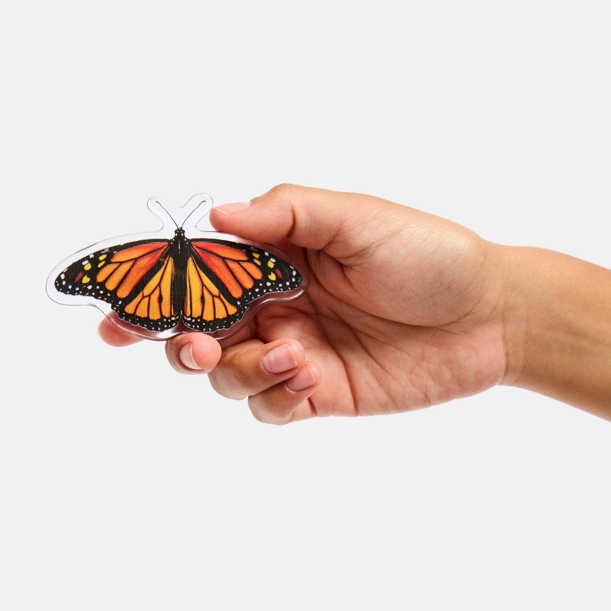 Monarch Butterfly Barrette