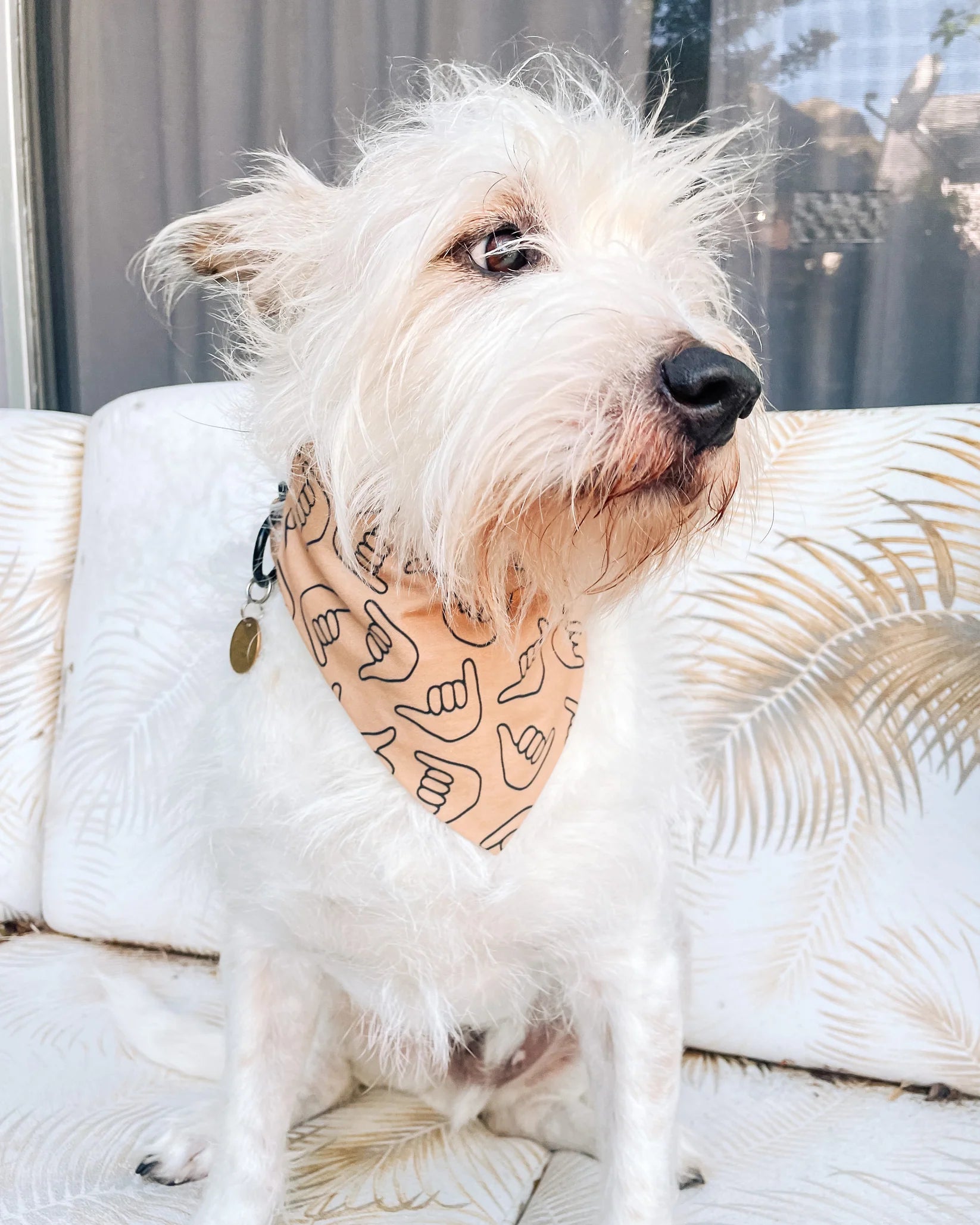 Shaka Latte Dog Bandana