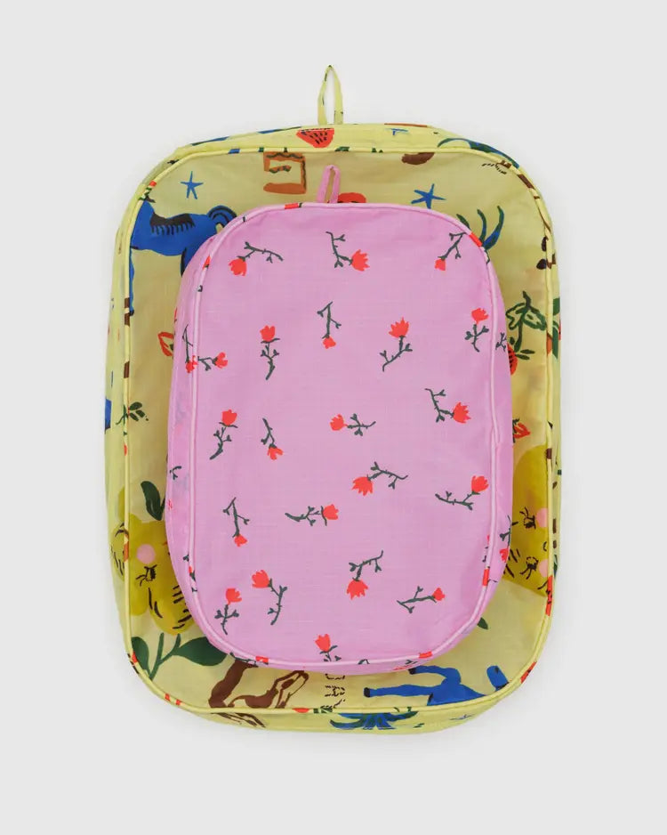Packing Cube Set, Painted Prairie