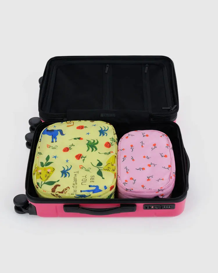 Packing Cube Set, Painted Prairie