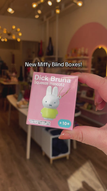 Surprise Box, Miffy & Friends Mascot Keychain