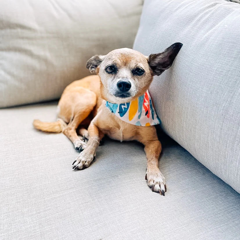 Surfboards Dog Bandana