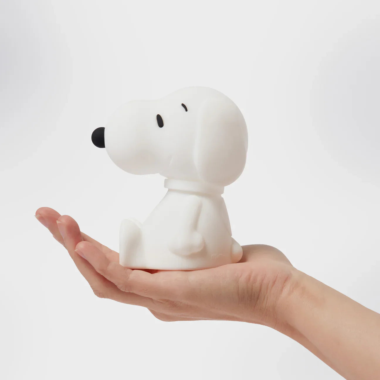 Snoopy Bundle of Light